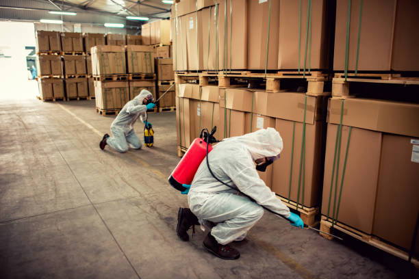 Flea Control Services in Oxford, NC