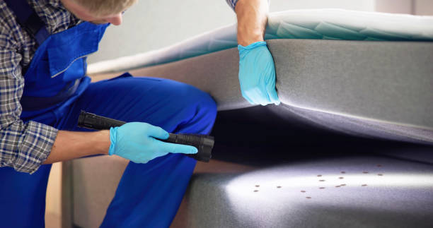 Best Mosquito Control Services  in Oxford, NC