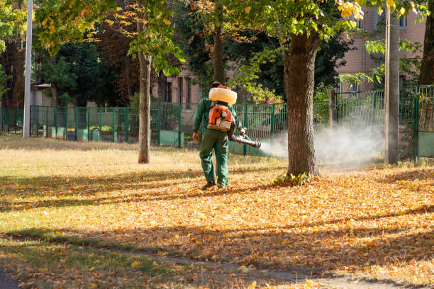 Reliable Oxford, NC Pest Control Solutions