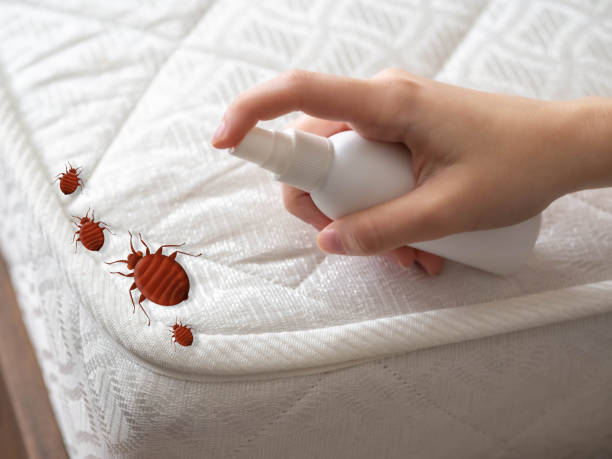 Best Pest Removal Services  in Oxford, NC