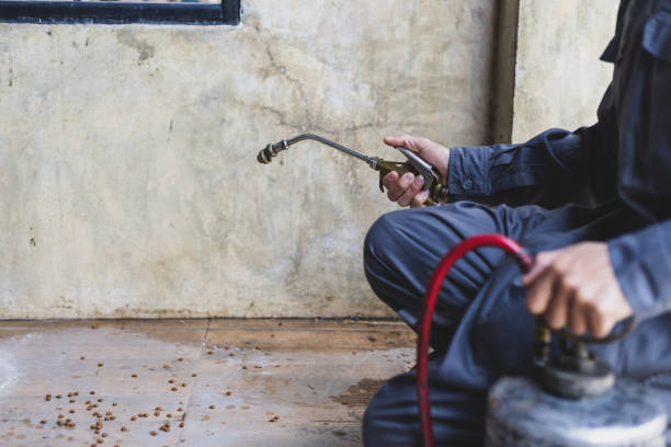 Best Affordable Pest Control Services  in Oxford, NC