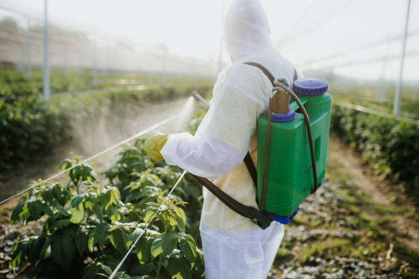 Best Pest Control for Restaurants  in Oxford, NC